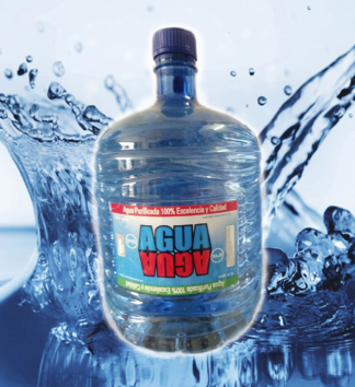 Bidon Desechable 10LTS(x5)